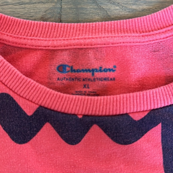 Boys Champion Sweatshirt - Picture 3 of 3